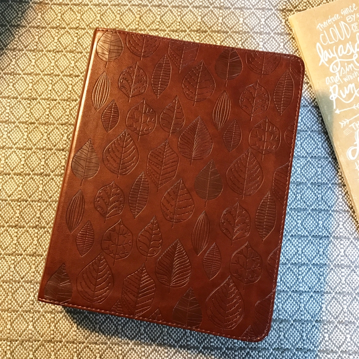 esv-leaf-faux-leather-journaling-bible